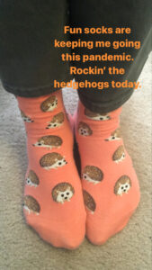 Socks with hedgehogs on them